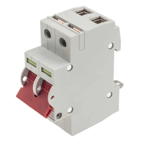 100A DP Main Switch with Tap Off Terminal